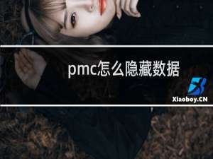 pmc怎么隐藏数据