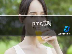pmc成就
