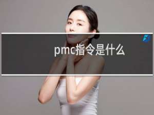 pmc指令是什么
