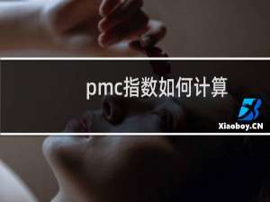 pmc指数如何计算