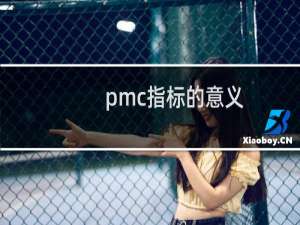 pmc指标的意义