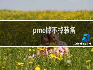 pmc掉不掉装备