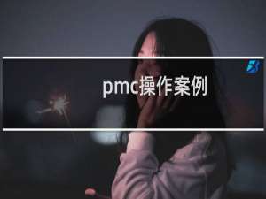 pmc操作案例