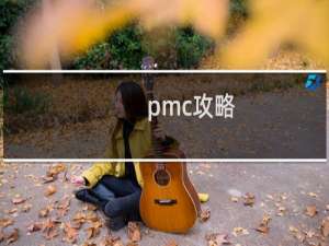 pmc攻略