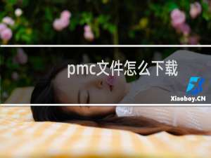 pmc文件怎么下载