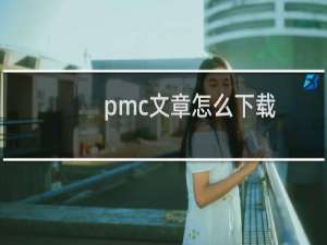 pmc文章怎么下载
