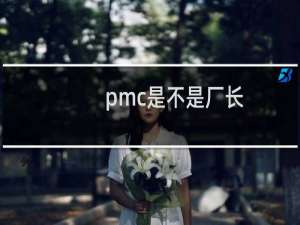 pmc是不是厂长