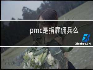 pmc是指雇佣兵么