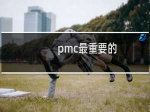pmc最重要的