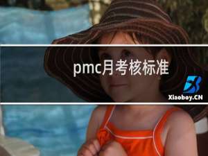 pmc月考核标准