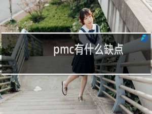 pmc有什么缺点