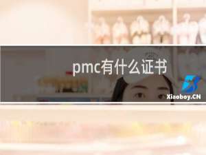 pmc有什么证书