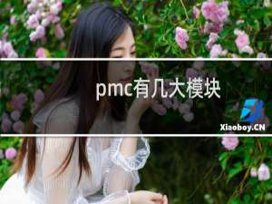 pmc有几大模块