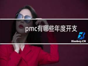 pmc有哪些年度开支