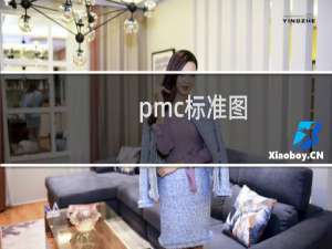 pmc标准图