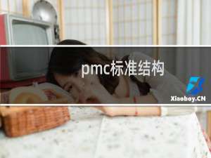 pmc标准结构