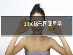 pmc梯形图哪里学