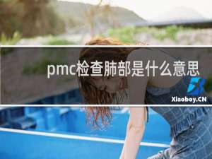 pmc检查肺部是什么意思