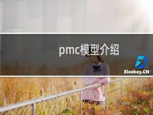 pmc模型介绍