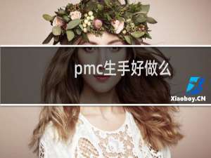 pmc生手好做么