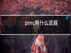 pmc用什么武器