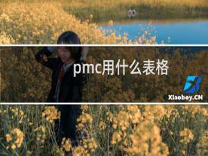 pmc用什么表格