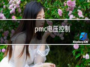 pmc电压控制
