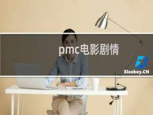 pmc电影剧情