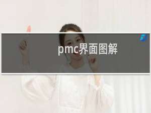 pmc界面图解