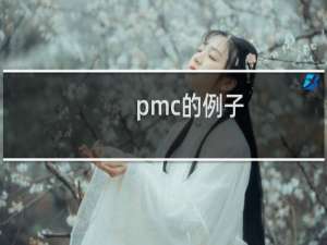 pmc的例子