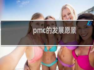 pmc的发展愿景