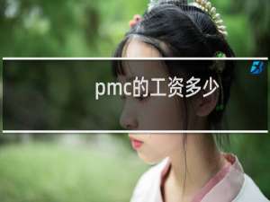 pmc的工资多少