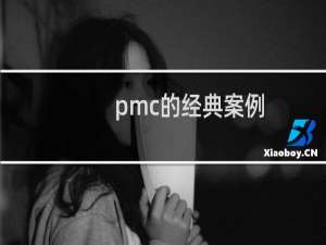 pmc的经典案例