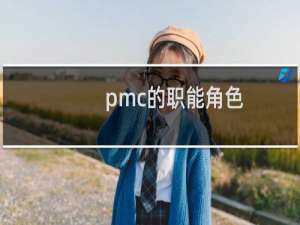pmc的职能角色