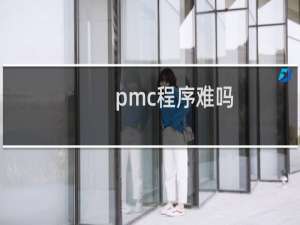 pmc程序难吗