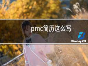 pmc简历这么写