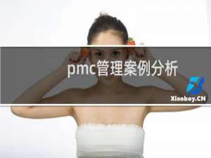 pmc管理案例分析