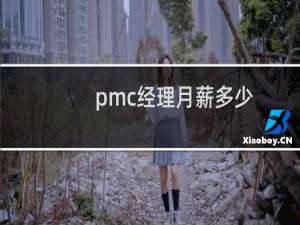 pmc经理月薪多少