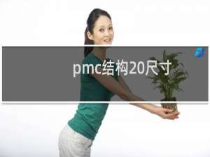 pmc结构 尺寸