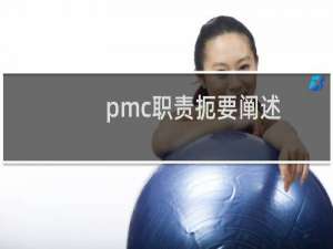pmc职责扼要阐述