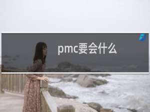 pmc要会什么