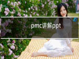pmc讲解ppt
