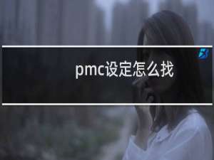 pmc设定怎么找