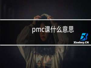 pmc课什么意思
