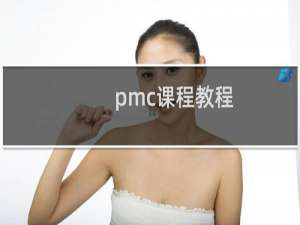 pmc课程教程