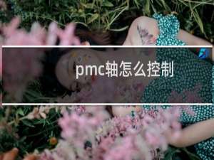 pmc轴怎么控制