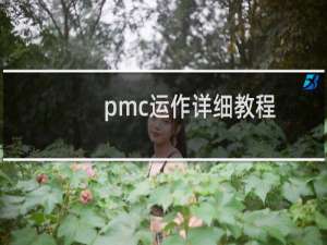 pmc运作详细教程