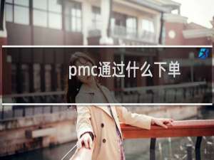 pmc通过什么下单