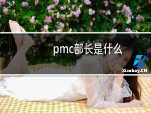 pmc部长是什么