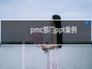 pmc部门ppt案例